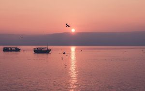 Fische, Fischerei und Schifffahrt - Der See Genezareth und die Glaubwürdigkeit der Evangelien