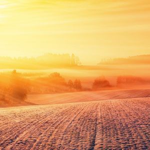 Johannes der Täufer 