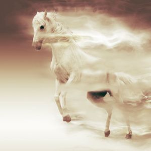 Das weiße Pferd