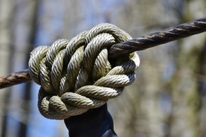 Die Kraft liegt in der Wahrheit