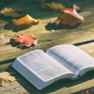 Einführung in das Buch des Propheten Zephania, Teil 2/2
