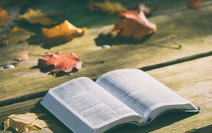 Einführung in das Buch des Propheten Zephania, Teil 1/2