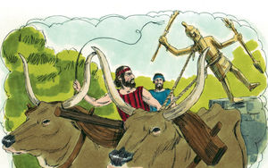 Bibel Illustrationen - Numeri 33