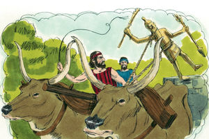 Bibel Illustrationen - Numeri 33