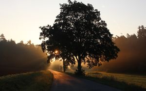 1. Mose 1: Der biblische Schöpfungsbericht