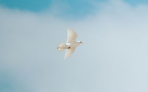 Der Heilige Geist im Alten Testament