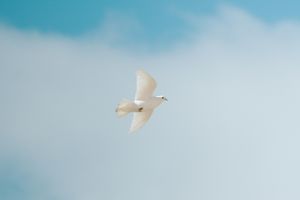 Der Heilige Geist im Alten Testament