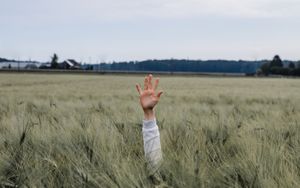 Woher wird mir Hilfe kommen? - Gedanken zum neuen Jahr (Psalm 121)