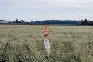 Woher wird mir Hilfe kommen? - Gedanken zum neuen Jahr (Psalm 121)