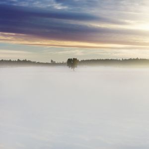 Sunntigsdate: Engel, Geister und Dämonen - Faszination der unsichtbaren Begleiter