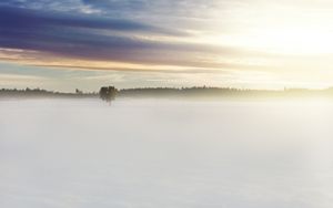 Sunntigsdate: Engel, Geister und Dämonen - Faszination der unsichtbaren Begleiter