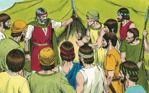 Bibel Illustrationen - Numeri 13