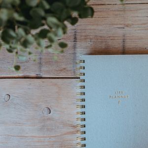 Gottes Plan und seine Ausführung