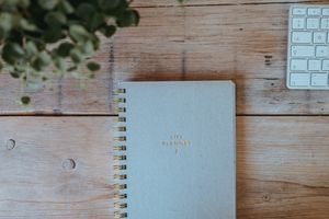 Gottes Plan und seine Ausführung