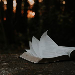 Die Erniedrigung und Erhöhung Christi 