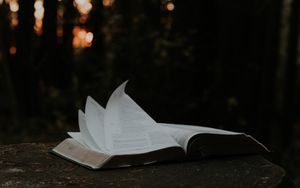 Die Erniedrigung und Erhöhung Christi 