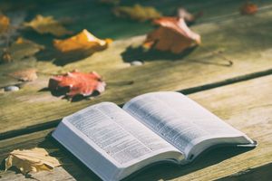 Biblische Autorität statt subjektives Empfinden