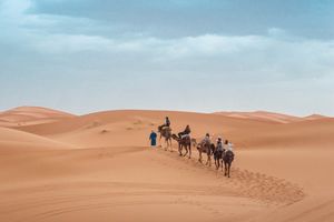 Josef - Gottes Dienst an der Welt