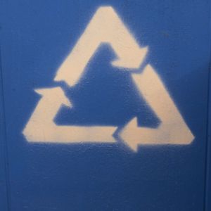 Wiedergeburt & Reinkarnation