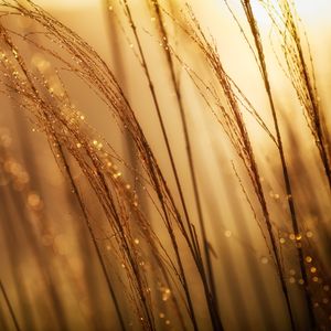 Tägliche Morgen- und Abendandachten