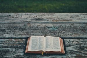 Das Buch des Propheten Obadja