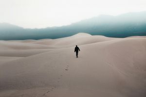Wie ein paar Männer die Welt auf den Kopf stellen