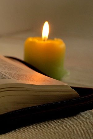 Die Bibel - von Grund auf glaubwürdig