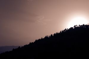 "O du fröhliche" im Schatten des Todes von seinen Kindern 