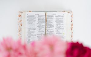 Psalm 13