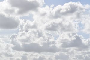 Sehnsucht nach Sichtbarkeit