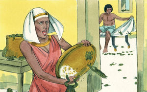 Bibel Illustrationen - Exodus 8