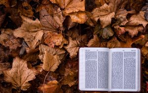 Die Bibel im Feuer