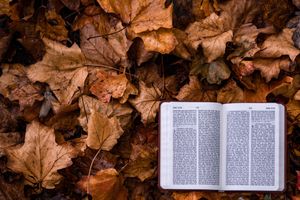 Die Bibel im Feuer