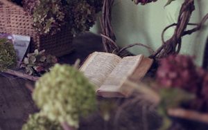 Wer die Bibel geschrieben hat