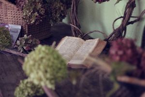 Wer die Bibel geschrieben hat