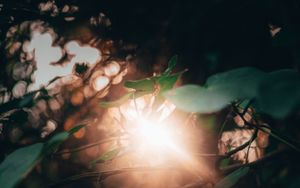 Bedrängte Christen weltweit und die Siege Jesu weltweit