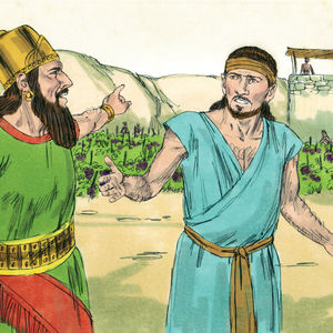 Naboths Weinberg (6/8)