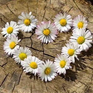 Gottes dienende Liebe durch die Frau für ihren Mann