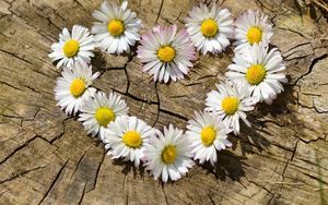 Gottes dienende Liebe durch die Frau für ihren Mann