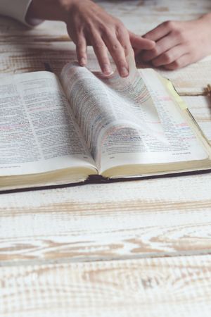Israel mit der Bibel entdecken