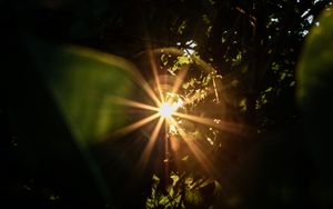 Jesus - das Licht der Welt