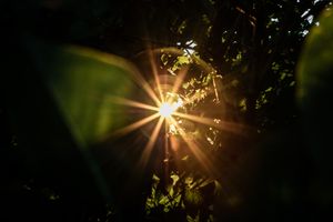 Jesus - das Licht der Welt