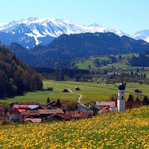 Unser Glaube muss lebendig werden! Wie dies damals im Allgäu geschah und heute geschehen kann