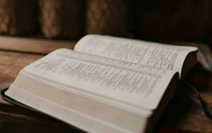 DARUM die Bibel