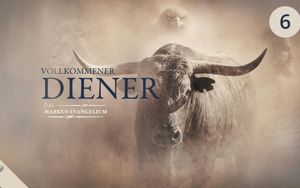 Vier Freunde, Sündenvergebung und der berufene Zöllner