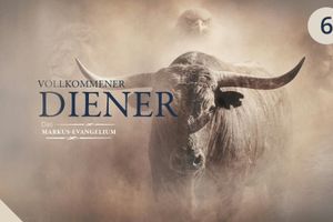 Vier Freunde, Sündenvergebung und der berufene Zöllner