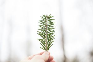 Das Glück und die Barmherzigen