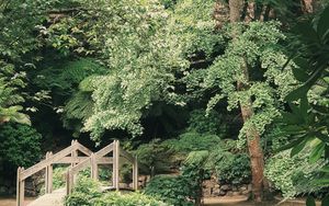 Der Gartentempel - der Tempelgarten - Eden, Teil 2/2