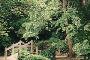 Der Gartentempel - der Tempelgarten - Eden, Teil 1/2