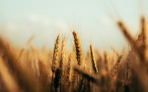 Unmögliches glauben, Unerwartetes überwinden, Unvollendetes aushalten